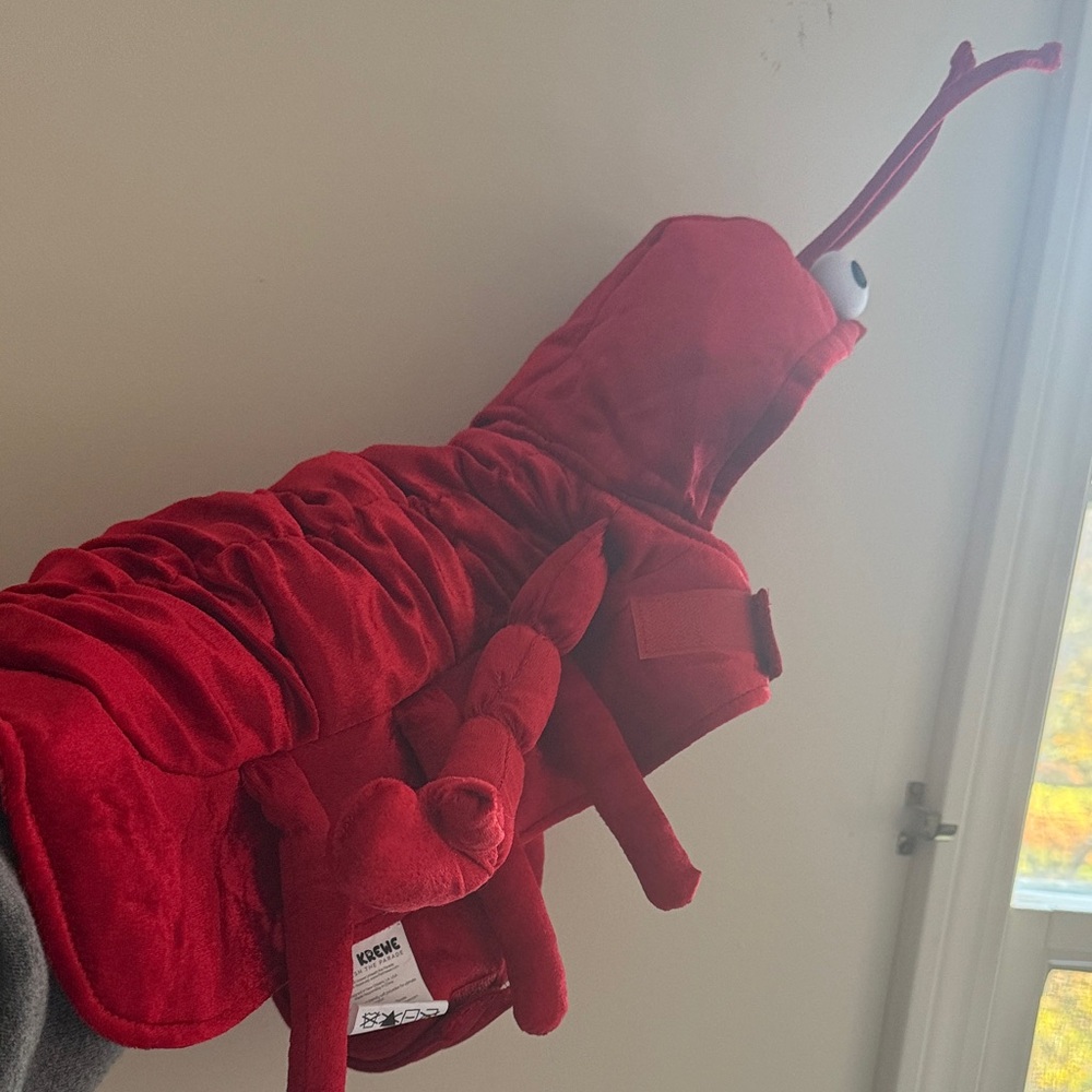 Vibrant Red Lobster Dog Costume
